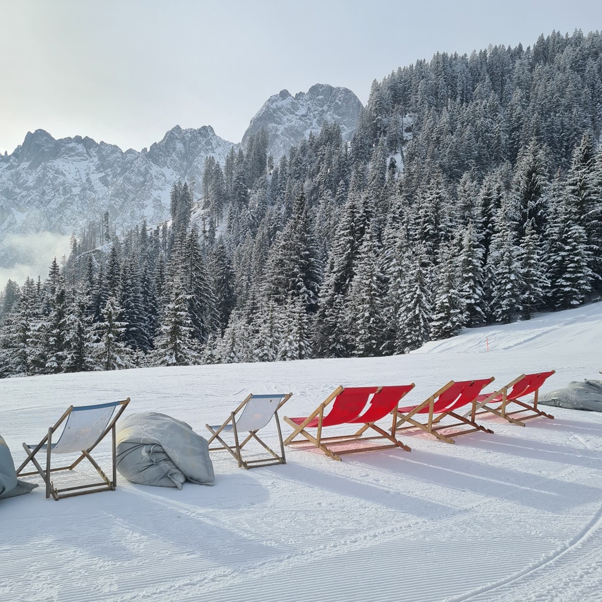 TAGESFAHRT GOSAU/DACHSTEIN